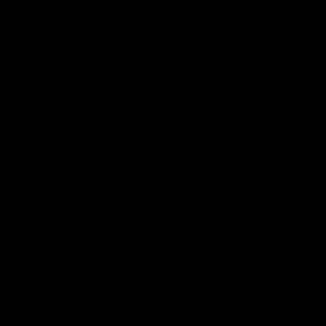 Meet your Posher, Lashannon